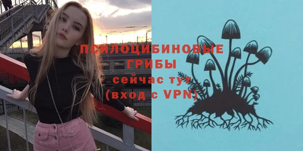 дмт Надым