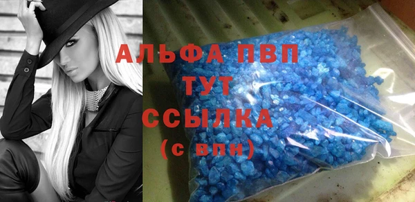 СК Алзамай