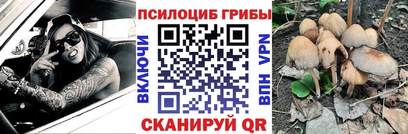 Галлюциногенные грибы мухоморы  Дзержинский 